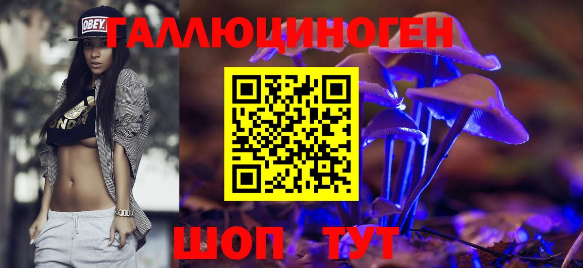 Псилоцибиновые грибы Psilocybine cubensis  Вход с VPN  Норильск 