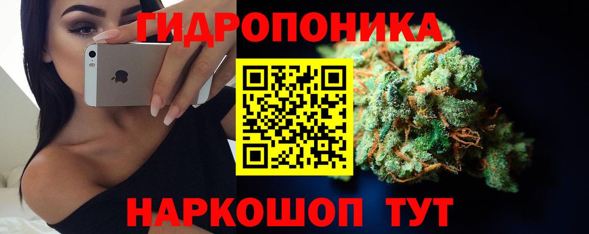 Бошки Шишки план  Вход с VPN  Марихуана сатива  Норильск  Бошки марихуана ГИДРОПОН 